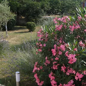 Adriana Holiday Labin (Istria)